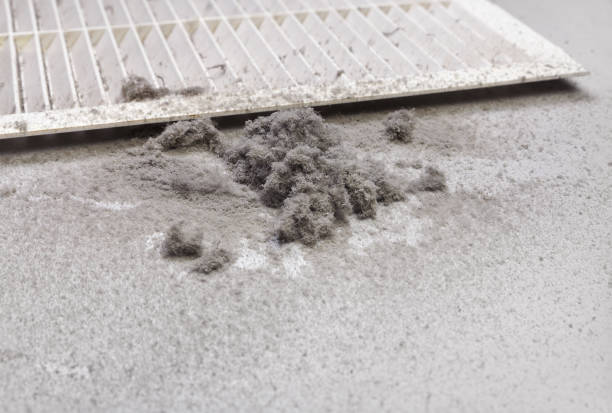 Best Best Air Duct Cleaning Company  in Palatine, IL