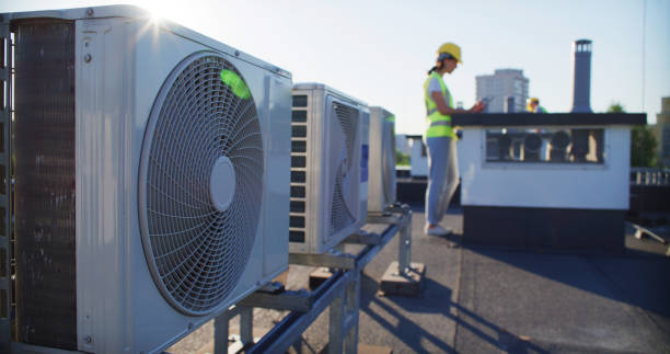 Best Air Duct Sanitizing Services  in Palatine, IL