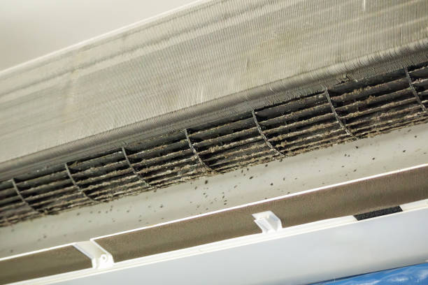 Best Air Duct Cleaning Company Near Me  in Palatine, IL