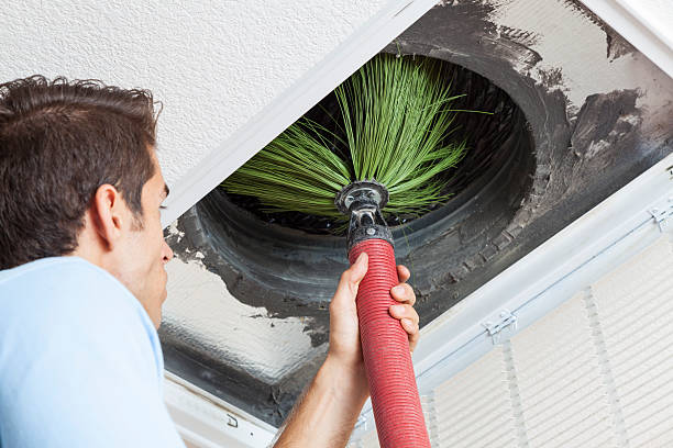 Best Home Air Vent Cleaning  in Palatine, IL