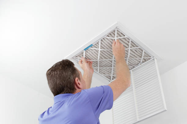 Best HVAC Air Duct Cleaning  in Palatine, IL